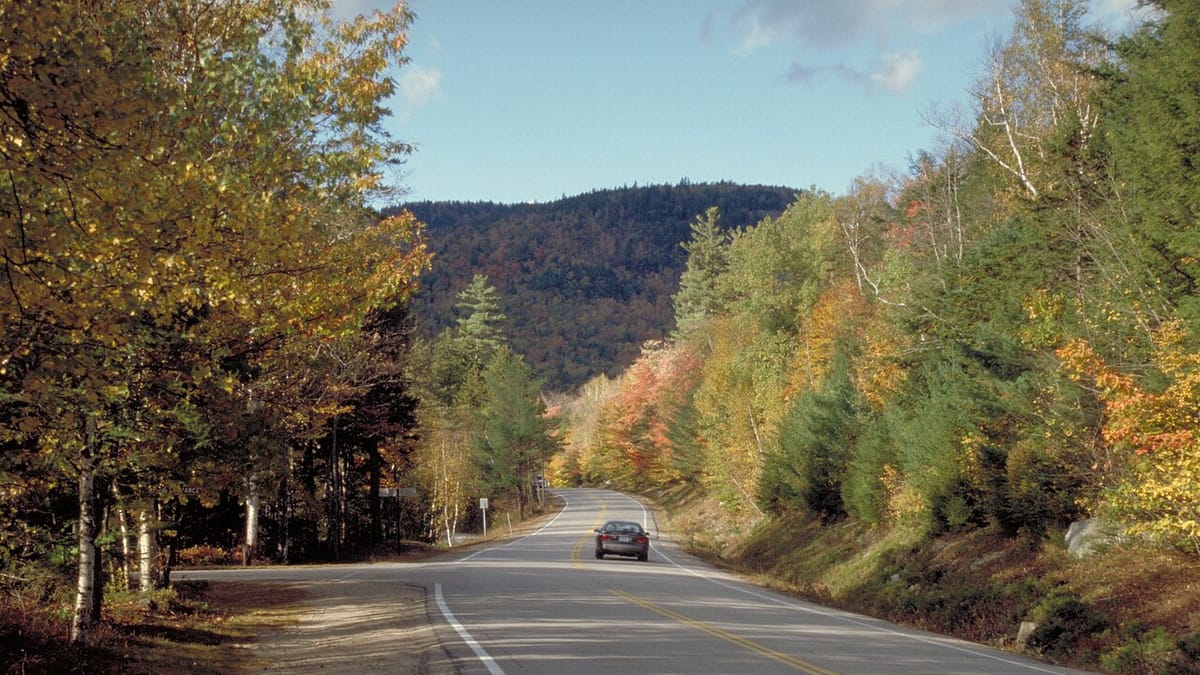 A car on a two-lane mountain byway curving into a hillside of turning trees