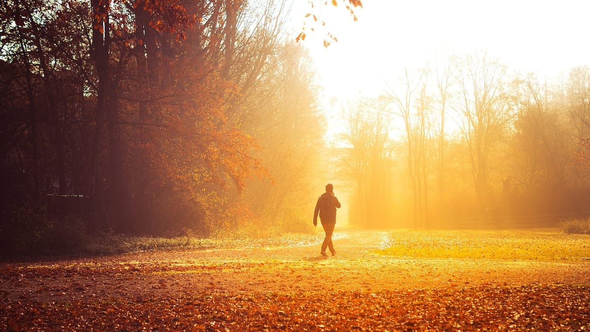 A phone framing a shot of bright autumn foliage