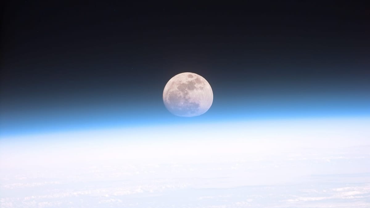 A full harvest moon above silvery pampas grass for Tsukimi moon-viewing