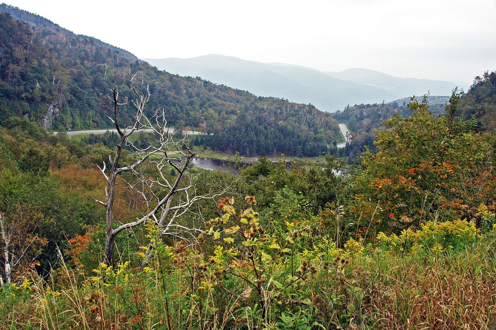 Appalachian Gap (Vermont Route 17)