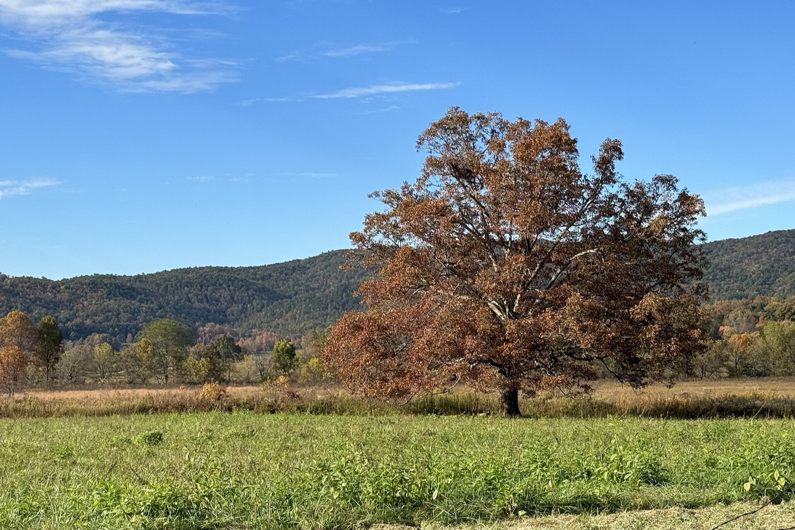 Cades Cove