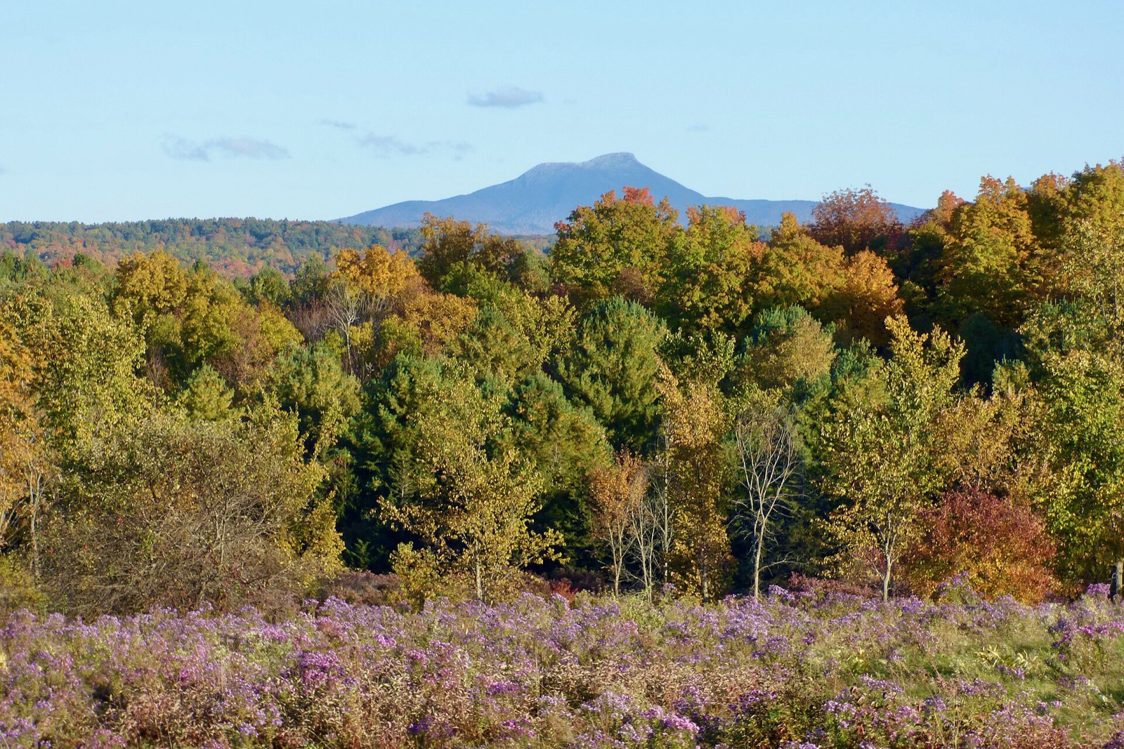 Camel's Hump (Monroe Trail)