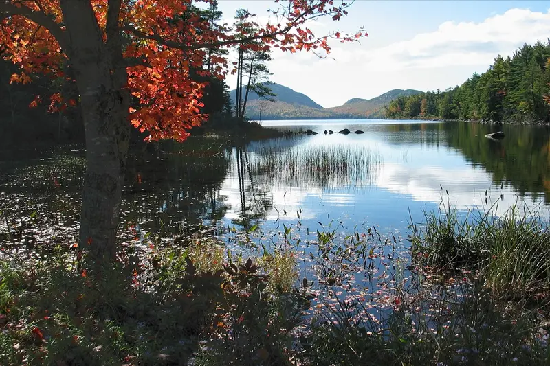 Autumn foliage at Acadia National Park (Park Loop Road)