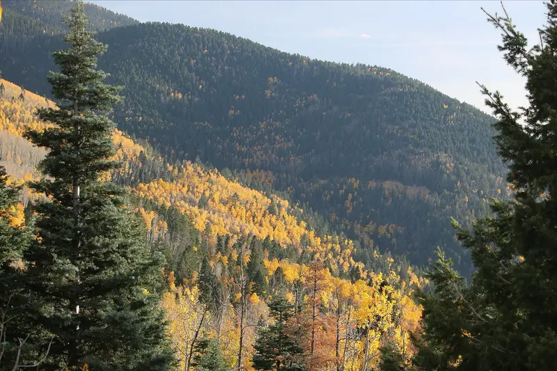 Aspen Vista Trail in New Mexico