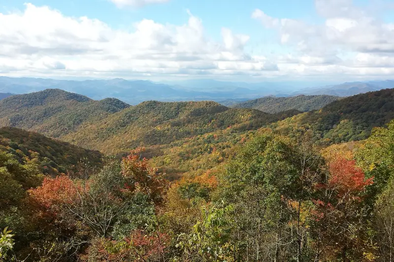 Autumn foliage at Blue Ridge Parkway (Graveyard Fields)