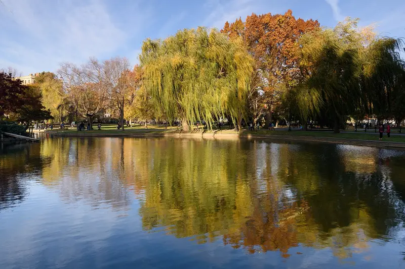 Autumn foliage at Boston Public Garden