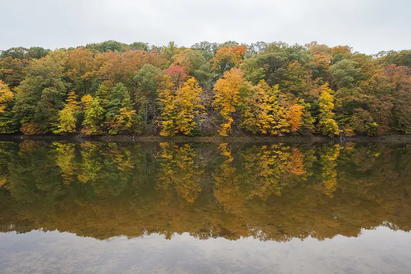 Autumn foliage at Brown County State Park