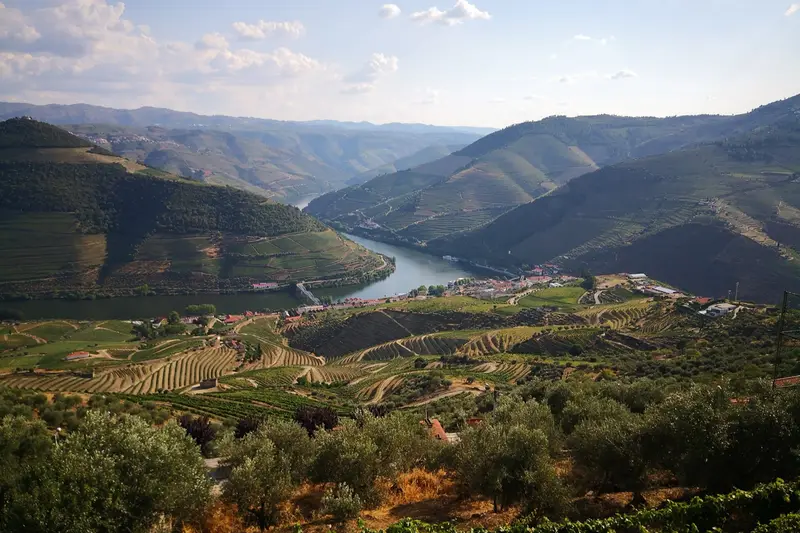 Casal de Loivos Viewpoint in Portugal
