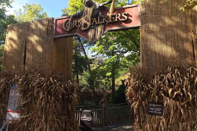 Autumn foliage at Cedar Point HalloWeekends