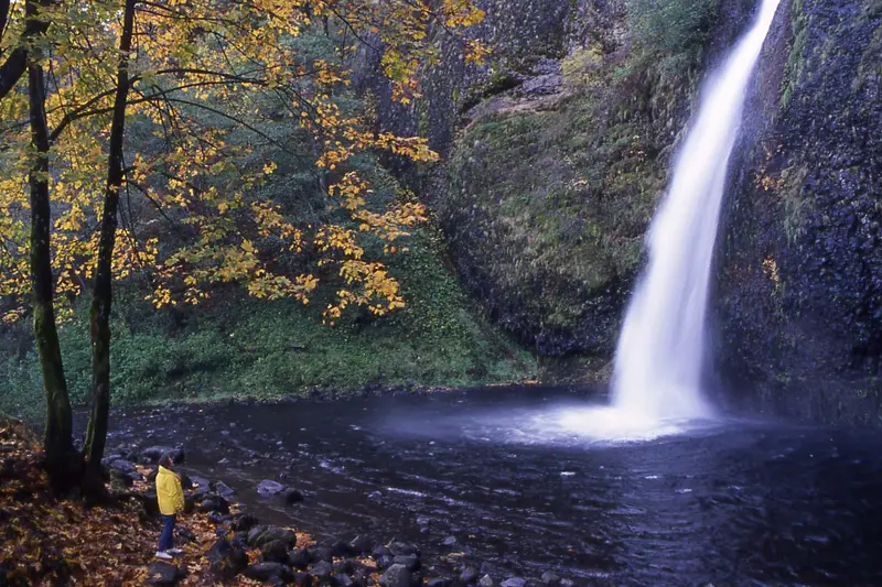 Autumn foliage at Columbia River Gorge