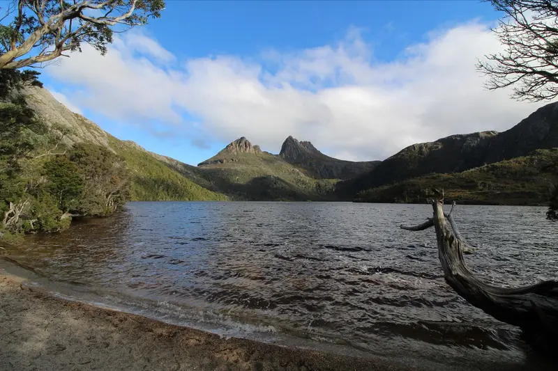 Autumn foliage at Cradle Mountain, Dove Lake
