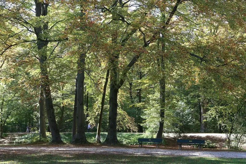 Autumn foliage at Englischer Garten