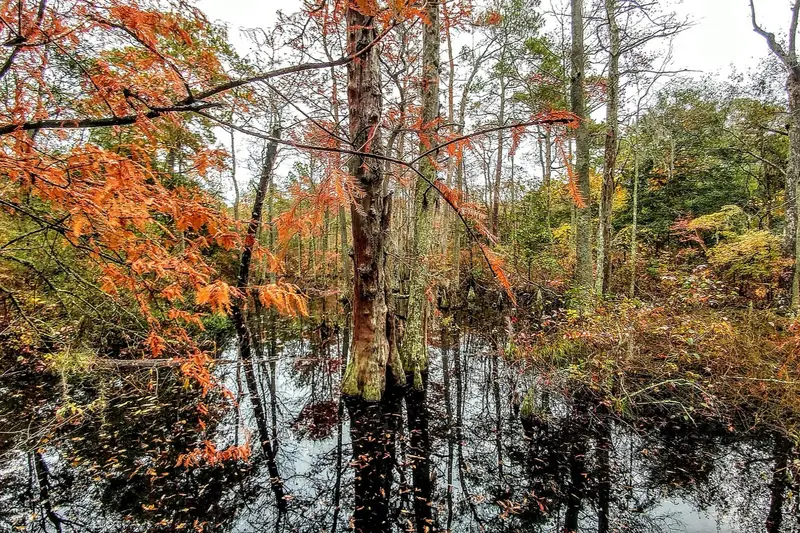 First Landing State Park in Virginia