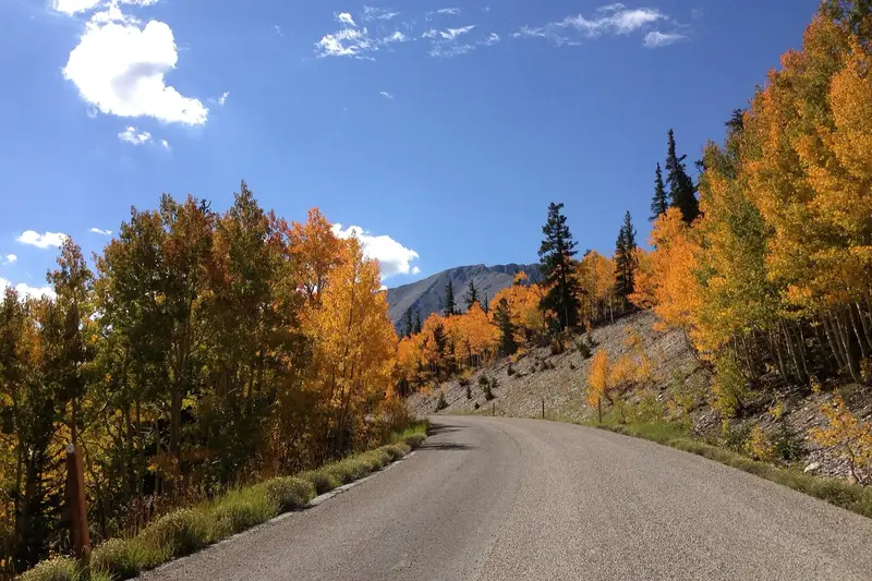 Autumn foliage at Great Basin National Park