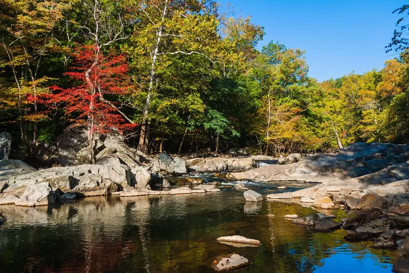 Autumn foliage at Great Falls Park