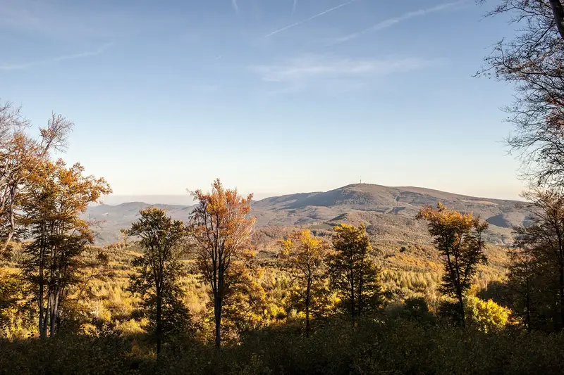 Autumn foliage at Kékes