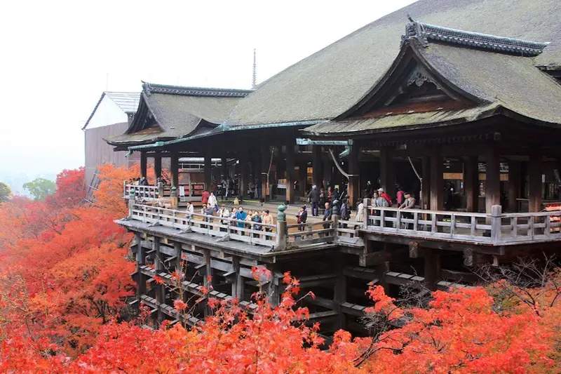 Autumn foliage at Kiyomizu-dera