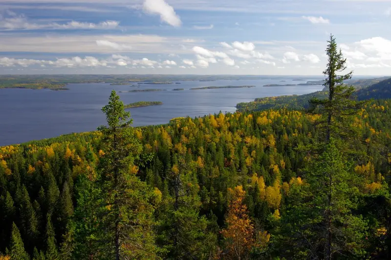 Autumn foliage at Koli National Park