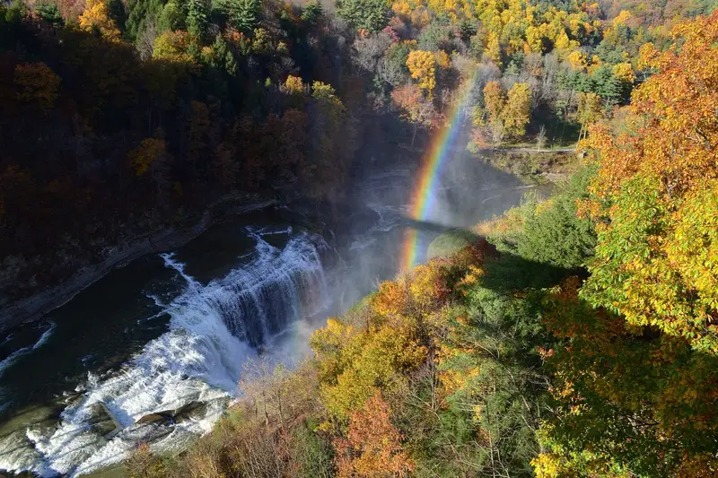 Autumn foliage at Letchworth State Park