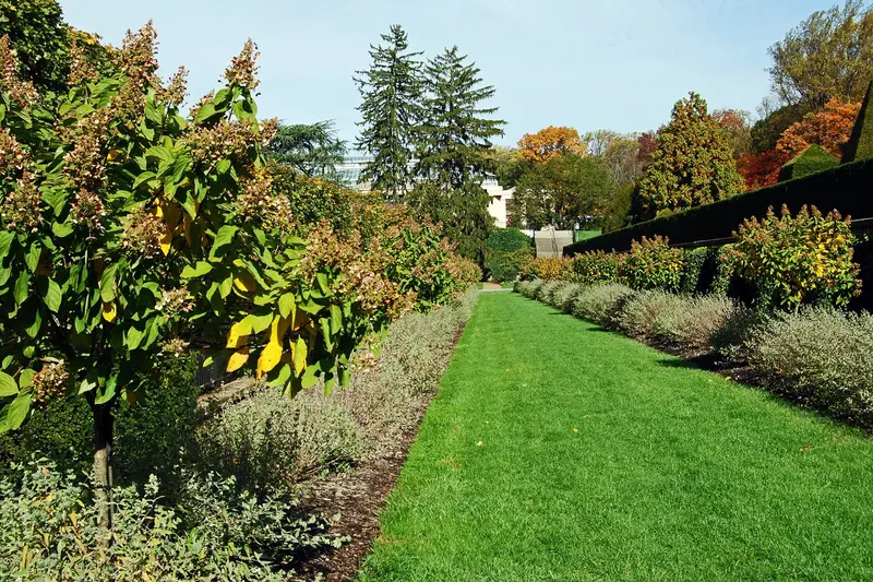 Autumn foliage at Longwood Gardens