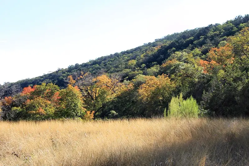 Autumn foliage at Lost Maples State Natural Area