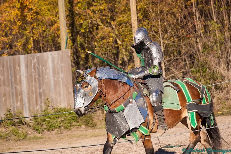 Louisiana Renaissance Festival in Louisiana