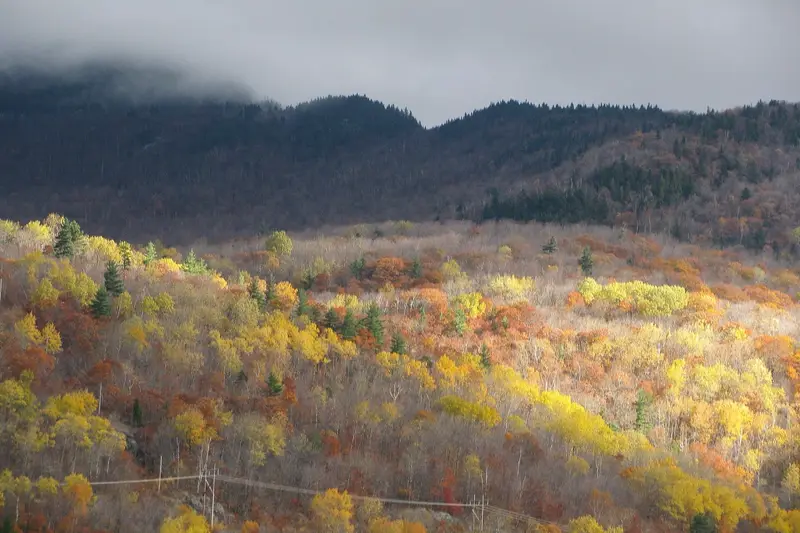 Autumn foliage at Parc national du Mont-Orford