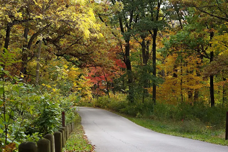 Autumn foliage at Morton Arboretum