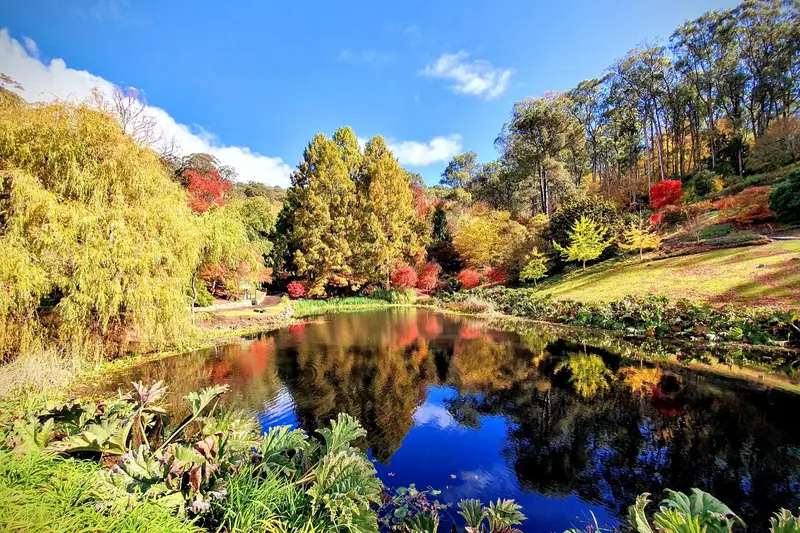 Autumn foliage at Mount Lofty Botanic Garden