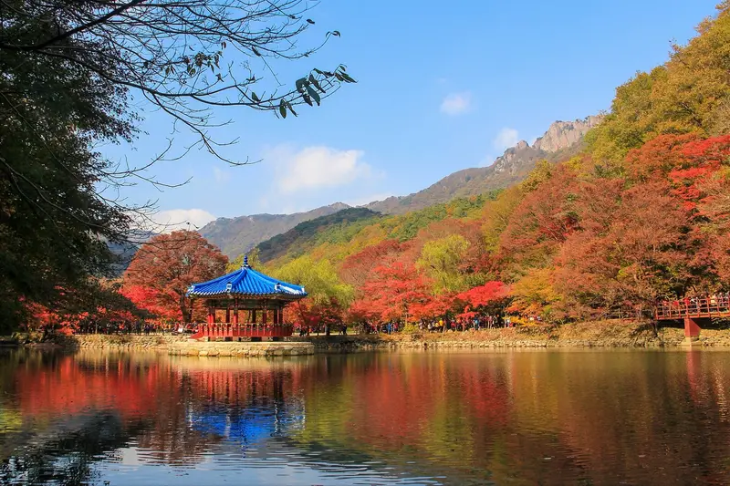 Naejangsan National Park in South Korea