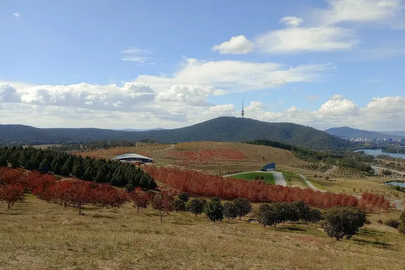 Autumn foliage at National Arboretum Canberra