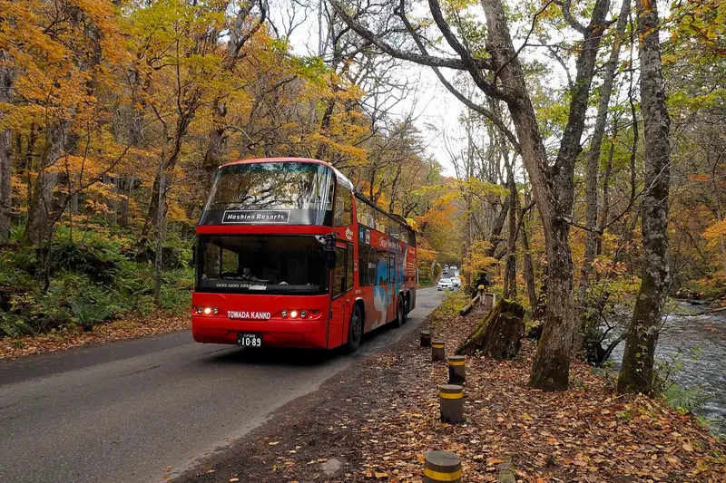 Autumn foliage at Oirase Gorge