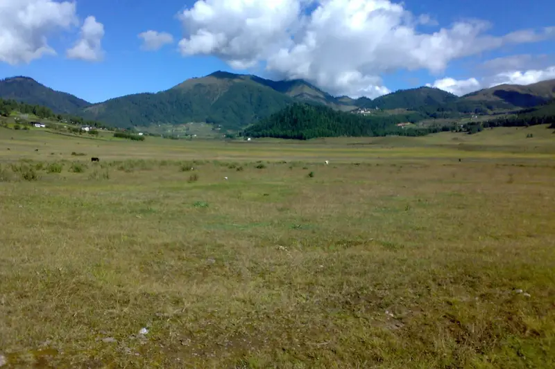 Autumn foliage at Phobjikha Valley (Gangtey)