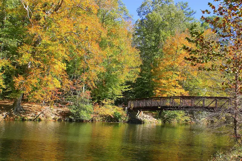 Autumn foliage at Pocahontas State Park