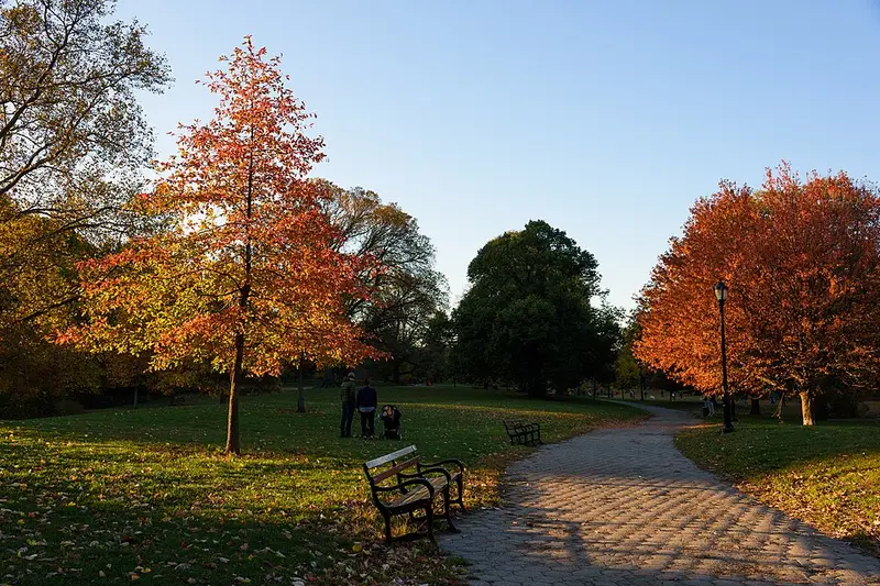 Autumn trees along a path in Prospect Park, Brooklyn