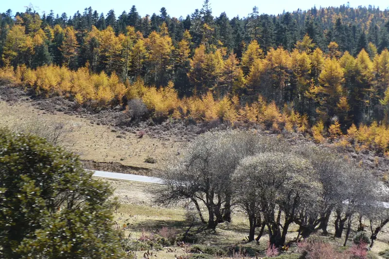 Pudacuo National Park in Shangri-La, Northwest Yunnan
