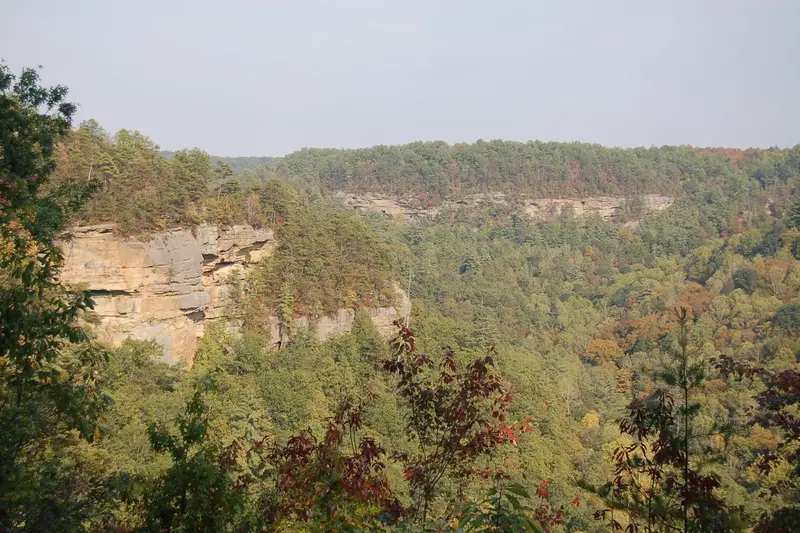 Autumn foliage at Red River Gorge