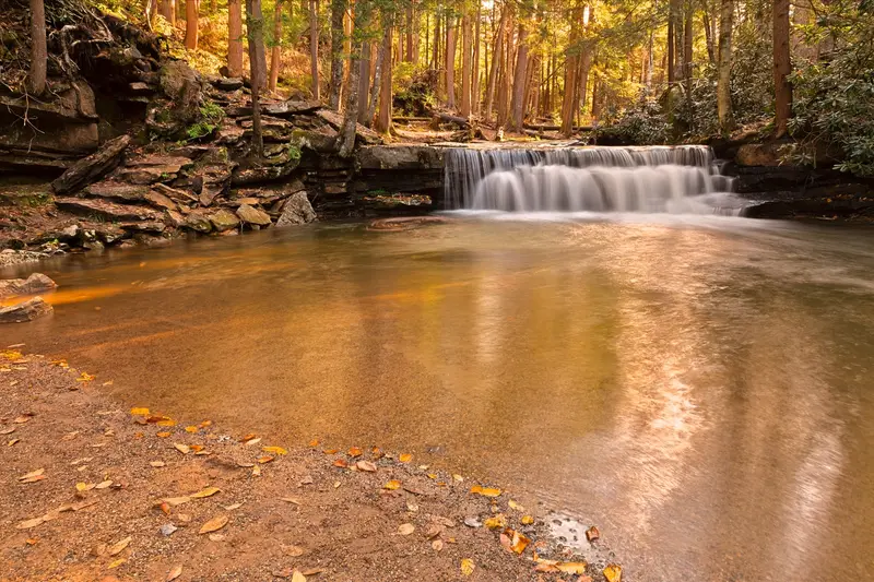 Autumn foliage at Swallow Falls State Park