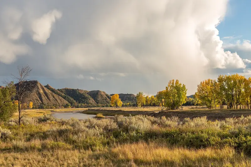 Autumn foliage at Theodore Roosevelt National Park (South Unit)