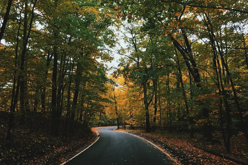 Autumn foliage at Tunnel of Trees (M-119)