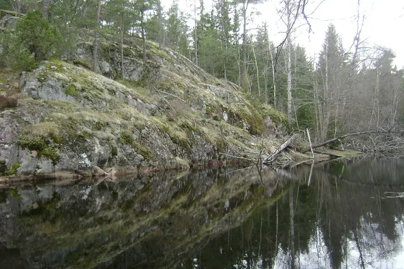 Tyresta National Park in Sweden