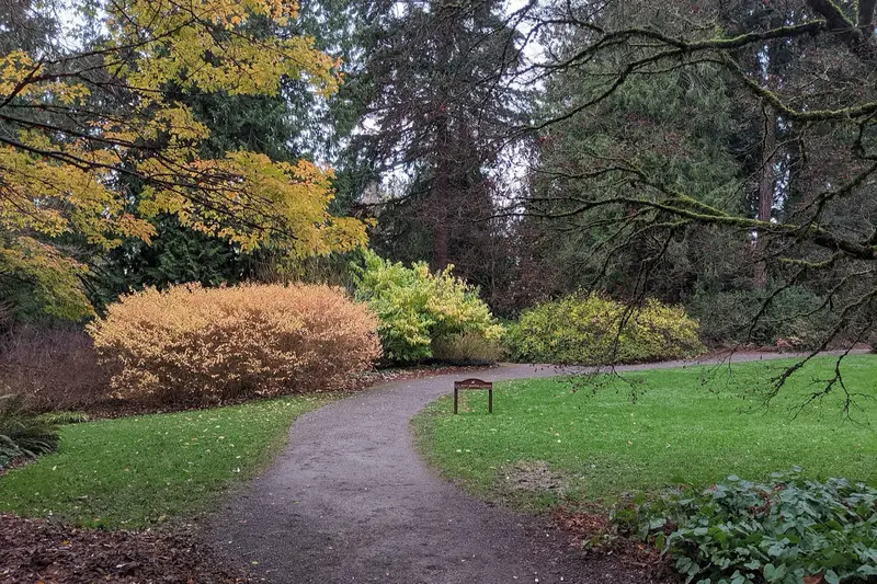 Autumn foliage at Washington Park Arboretum