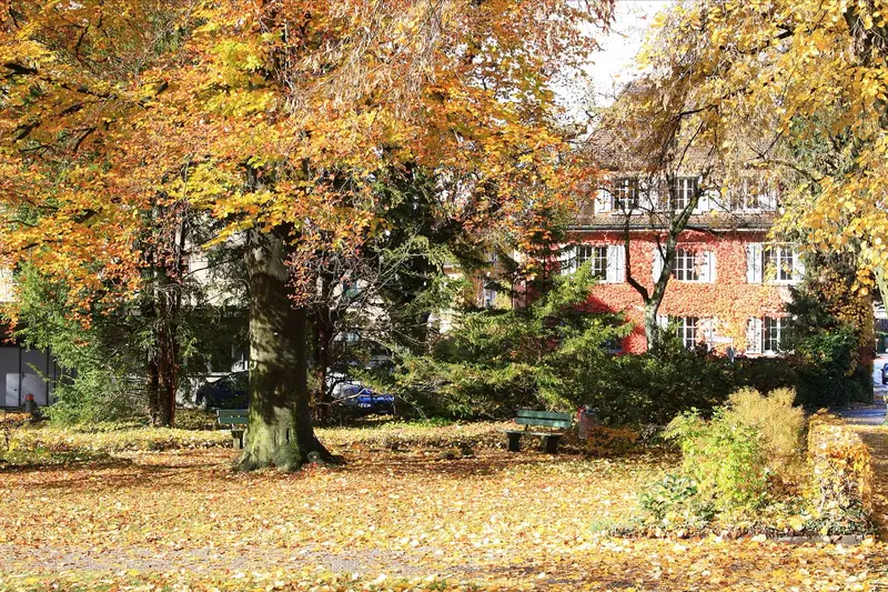 Autumn foliage at Winterthur