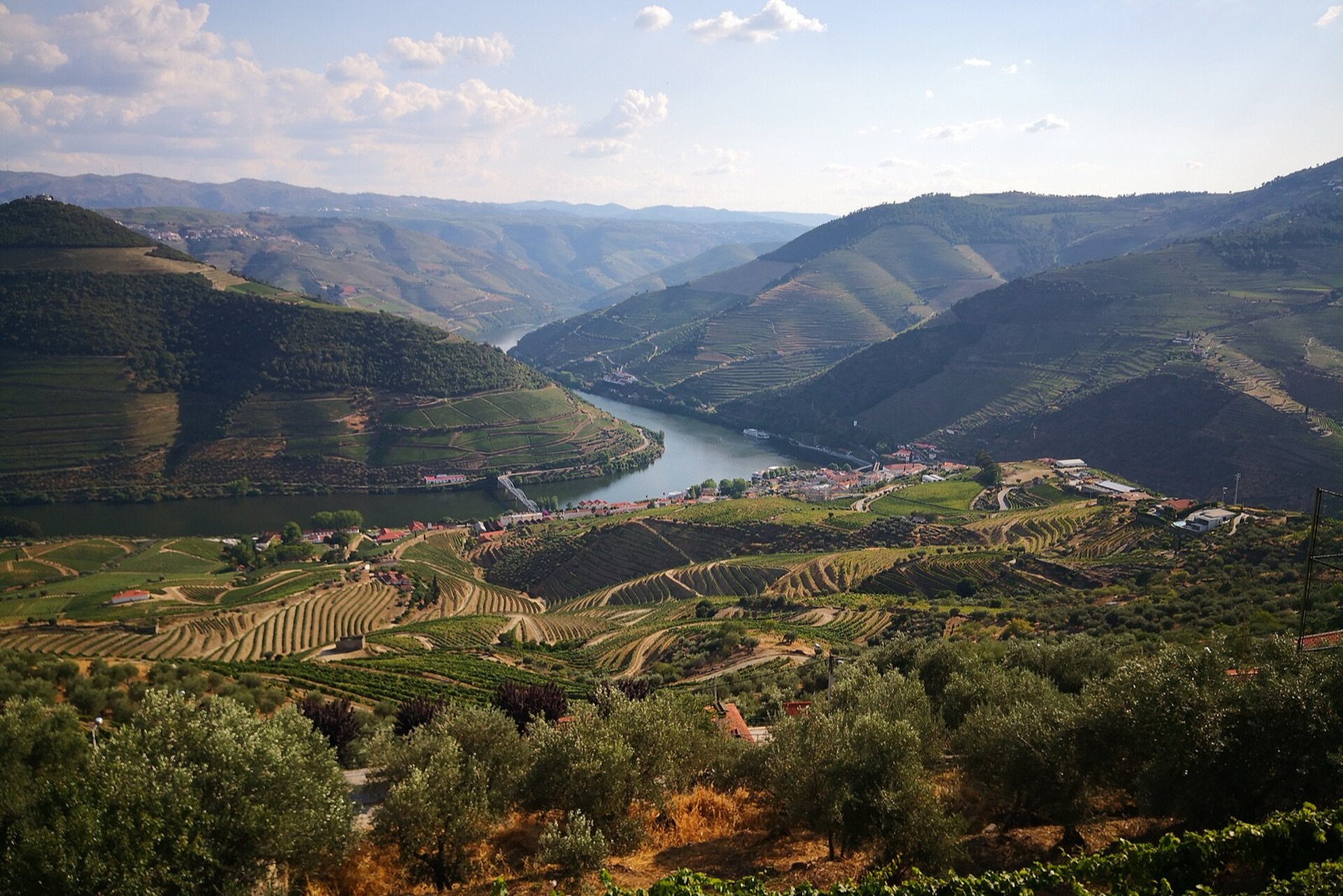 Casal de Loivos Viewpoint