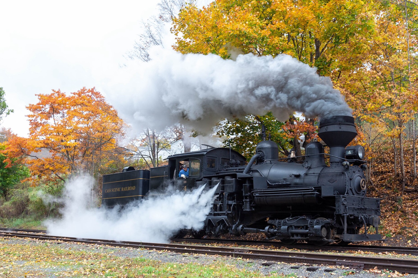 Cass Scenic Railroad