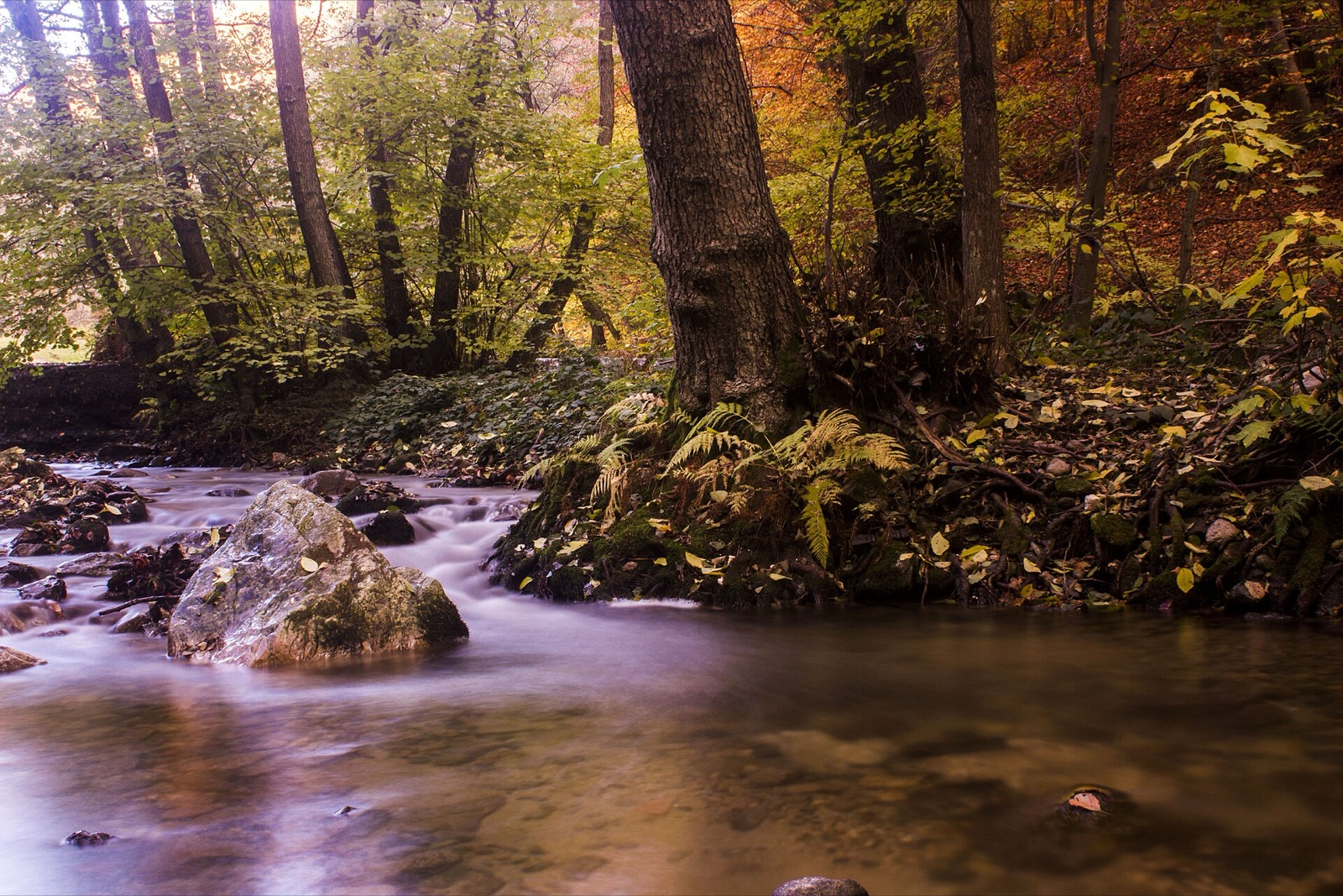 Central Balkan National Park (Botev Peak)