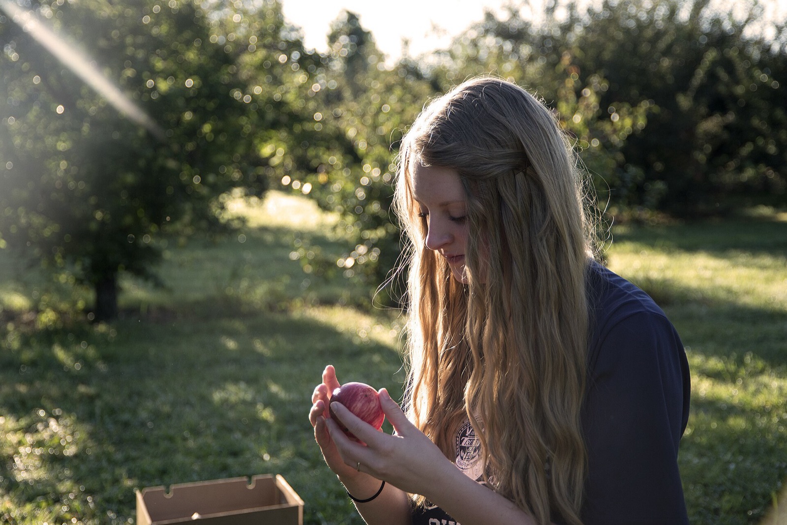 Cider Hill Family Orchard