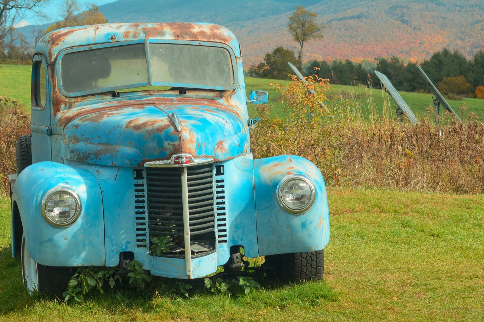 Cold Hollow Cider Mill