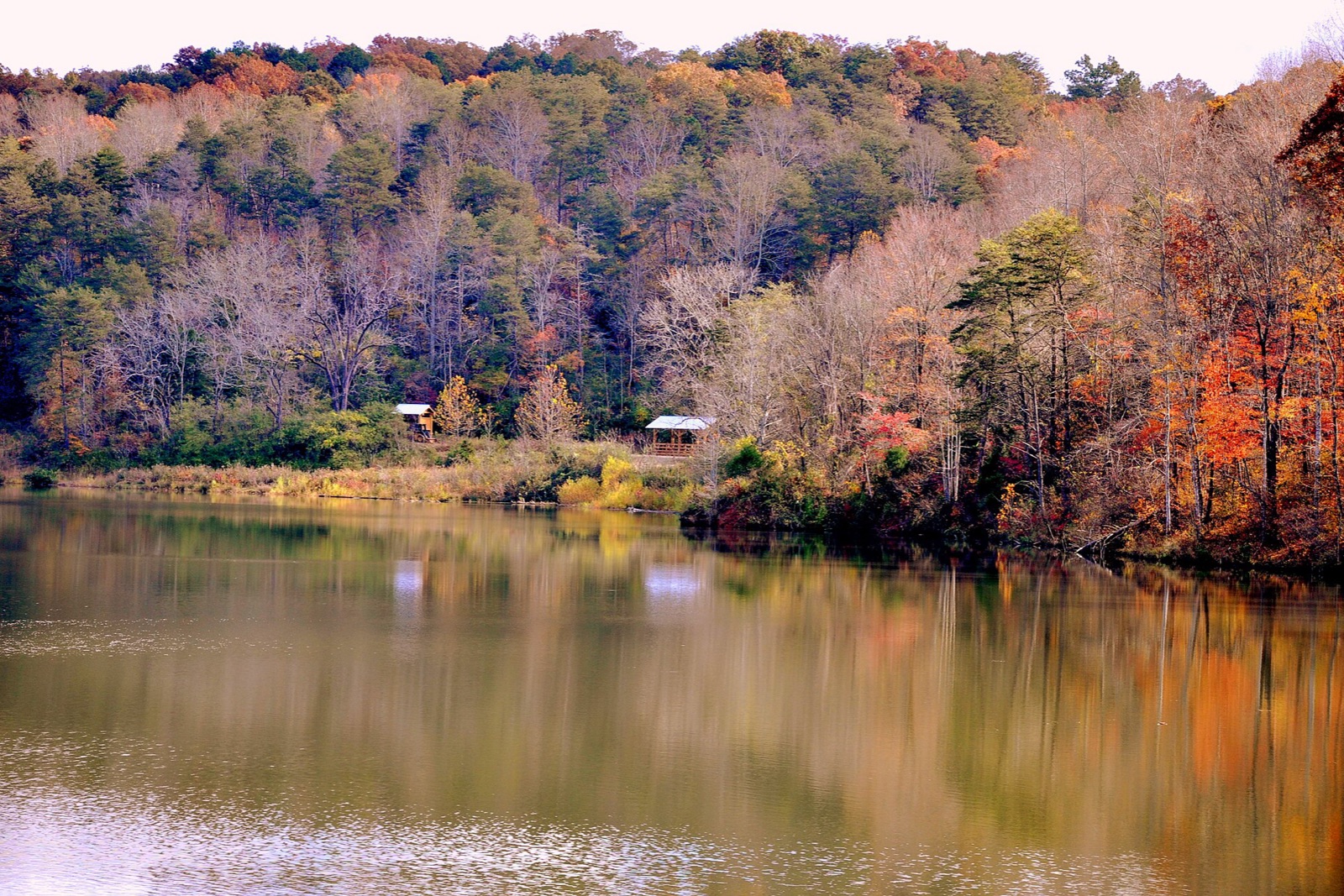 Dahlonega