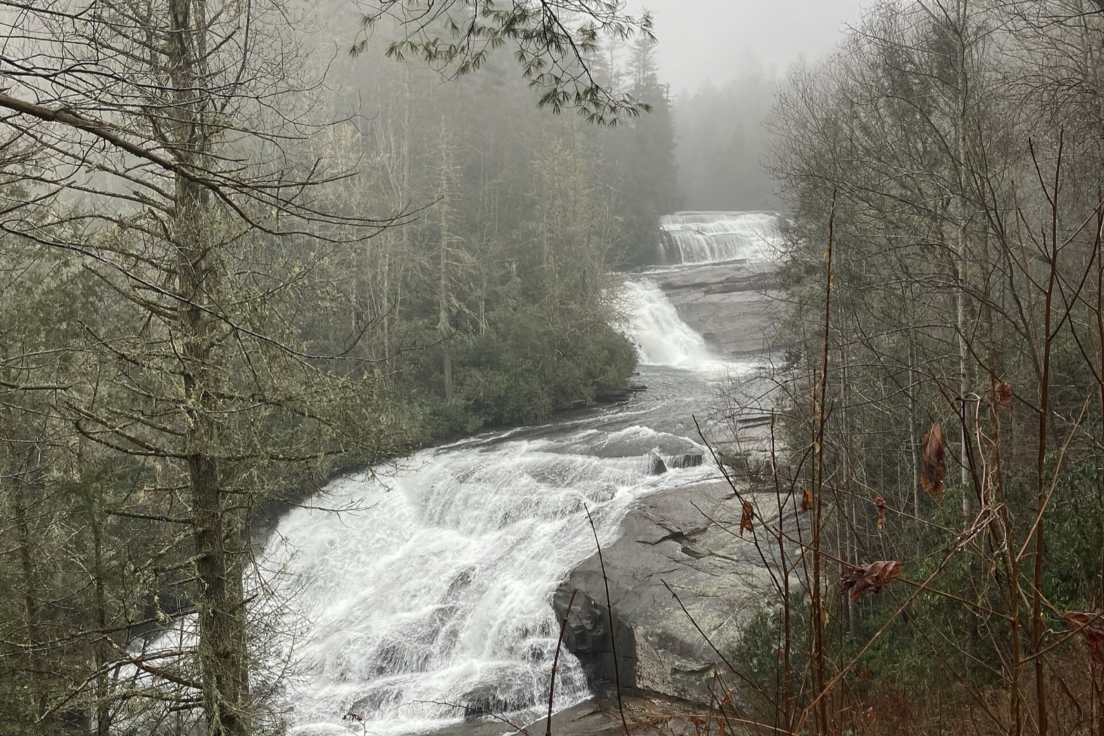 DuPont State Recreational Forest